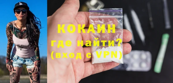 прущие грибы Аркадак
