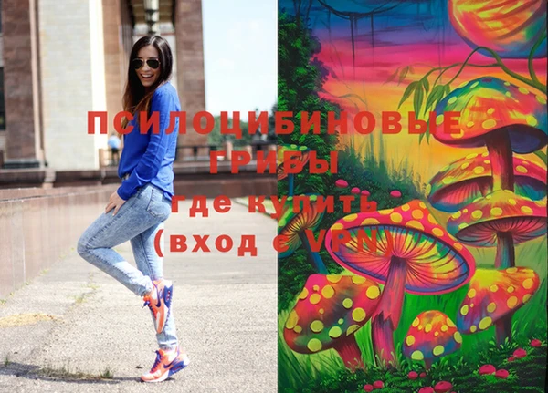 прущие грибы Балахна