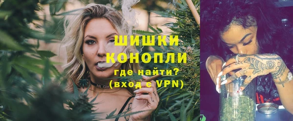 прущие грибы Аркадак