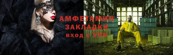 прущие грибы Аркадак